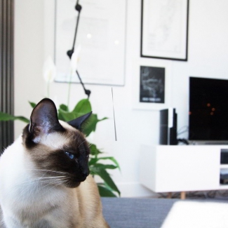 Realizacja - Łazienki - Apartament skandynawski