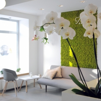 Gabinety Dentystyczne