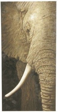 Obraz olejny Elefant 150x75
