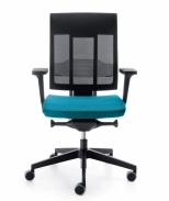 mini: Krzesło XENON NET